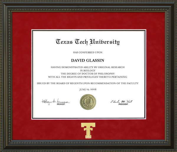 print-border-Tech Diploma Frame in Red