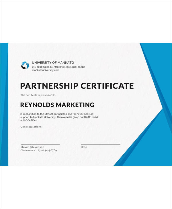 printable-blank-editable-free-business-certificate-design-template