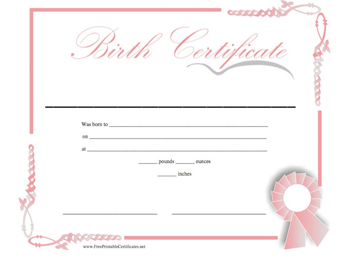 birth-certificate-template-pink-download-blank-border-editable-doc